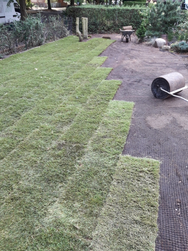 Rollrasen mit Maulwurfnetz 