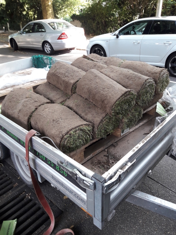 Rollrasen anlieferung